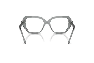 [glasses-back-view] Swarovski SK2035 (1062)