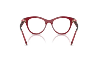 Vista posterior Swarovski SK2036 (1055)