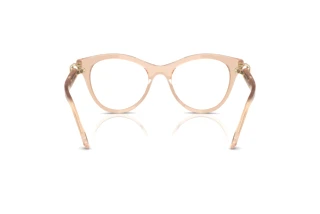 [glasses-back-view] Swarovski SK2036 (1063)