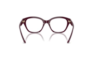 Vista posterior Swarovski SK2038 (1044)