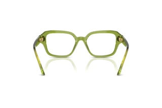 Vista posterior Swarovski SK2039 (3002)