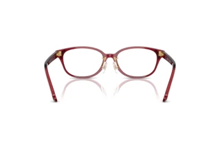 Πίσω όψη Swarovski SK2040D (1055)