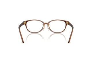 Vista posterior Swarovski SK2040D (1067)