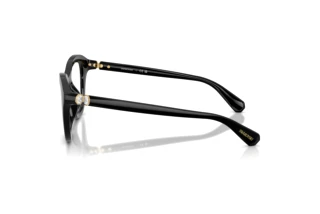 [glasses-side-view] Swarovski SK2042U (1001)