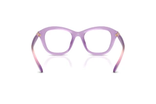 Vista posterior Swarovski SK2042U (1075)