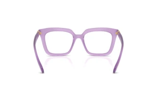 Vista posterior Swarovski SK2043 (1075)