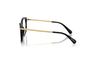 Vista lateral Swarovski SK2044 (1001)