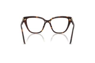 [glasses-back-view] Swarovski SK2045 (1002)