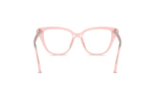 [glasses-back-view] Swarovski SK2045 (1041)