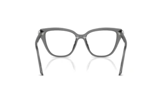 Vista posterior Swarovski SK2045 (1072)