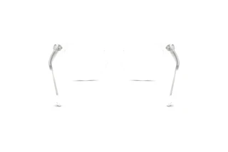 Takaa Swarovski SK2046 (1027)