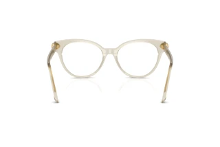 Vista posterior Swarovski SK2046 (3003)