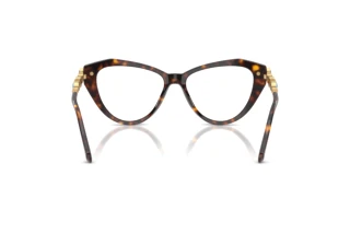 [glasses-back-view] Swarovski SK2047 (1002)