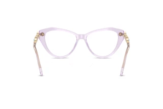 Vista posterior Swarovski SK2047 (1079)