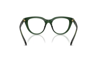 Vedere din spate Swarovski SK2052 (1043)