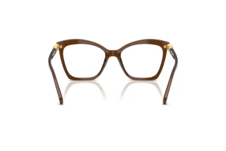 [glasses-back-view] Swarovski SK2053 (1084)