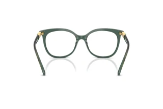 Vy bakifrån Swarovski SK2055 (1043)