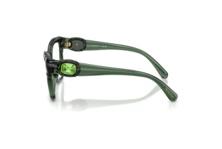 Vedere laterală Swarovski SK2056U (1043)