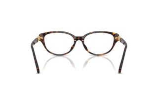 Takaa Swarovski SK2058D (1002)