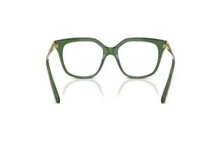 [glasses-back-view] Swarovski SK2059 (1085)