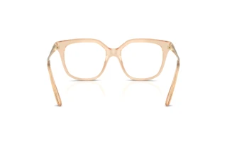 [glasses-back-view] Swarovski SK2059 (1092)