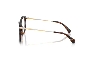 [glasses-side-view] Swarovski SK2060 (1002)