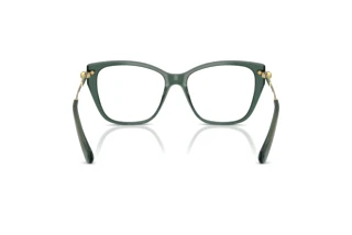 [glasses-back-view] Swarovski SK2060 (1043)
