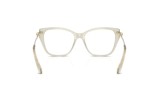 [glasses-back-view] Swarovski SK2060 (3003)