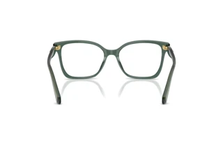 [glasses-back-view] Swarovski SK2061 (1043)