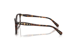 [glasses-side-view] Swarovski SK2061 (1101)