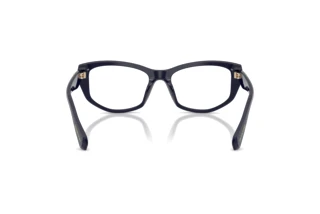 [glasses-back-view] Swarovski SK2062U (1099)