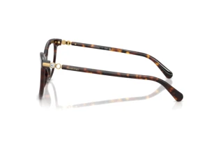 [glasses-side-view] Swarovski SK2064 (1002)