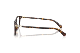[glasses-side-view] Swarovski SK2065 (1002)