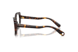 [glasses-side-view] Swarovski SK2066U (1002)
