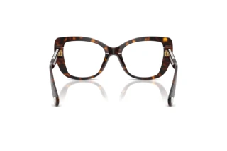 [glasses-back-view] Swarovski SK2066U (1002)