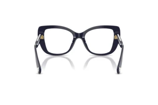 [glasses-back-view] Swarovski SK2066U (1099)