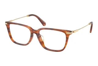 [glasses-front-view] Swarovski SK2067D (1091)