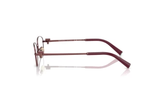 [glasses-side-view] Tiffany TF1162TD (6015)