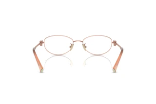 [glasses-back-view] Tiffany TF1162TD (6168)