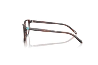 [glasses-side-view] Tiffany TF2097 (8421)