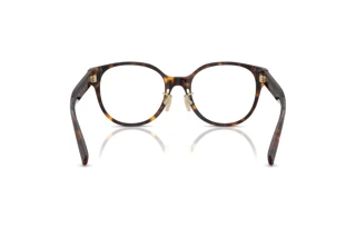 [glasses-back-view] Tiffany TF2264D (8015)