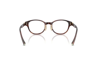 [glasses-back-view] Tiffany TF2273D (8421)