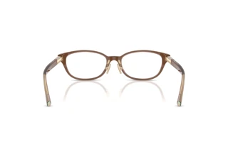 [glasses-back-view] Tiffany TF2280D (8255)