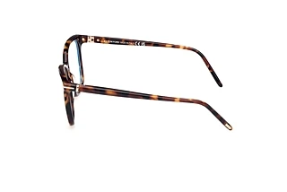 [glasses-side-view] Tom Ford FT5989-B (052)