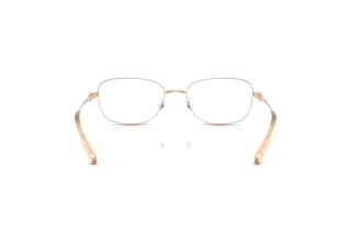 [glasses-back-view] Tory Burch TY1098 (3358)