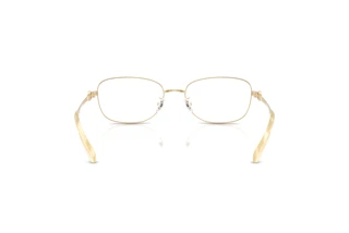 [glasses-back-view] Tory Burch TY1098 (3362)