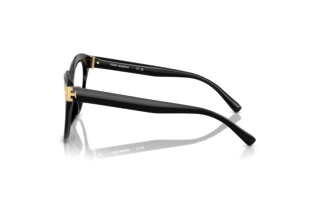 [glasses-side-view] Tory Burch TY2154U (1709)