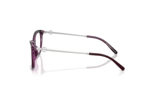 Vedere laterală Tory Burch TY2165U (2050)