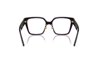 [glasses-back-view] Versace VE3371D (5263)