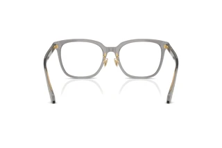 Vista posterior Versace VE3378D (5510)